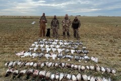 guidedgoosehunt