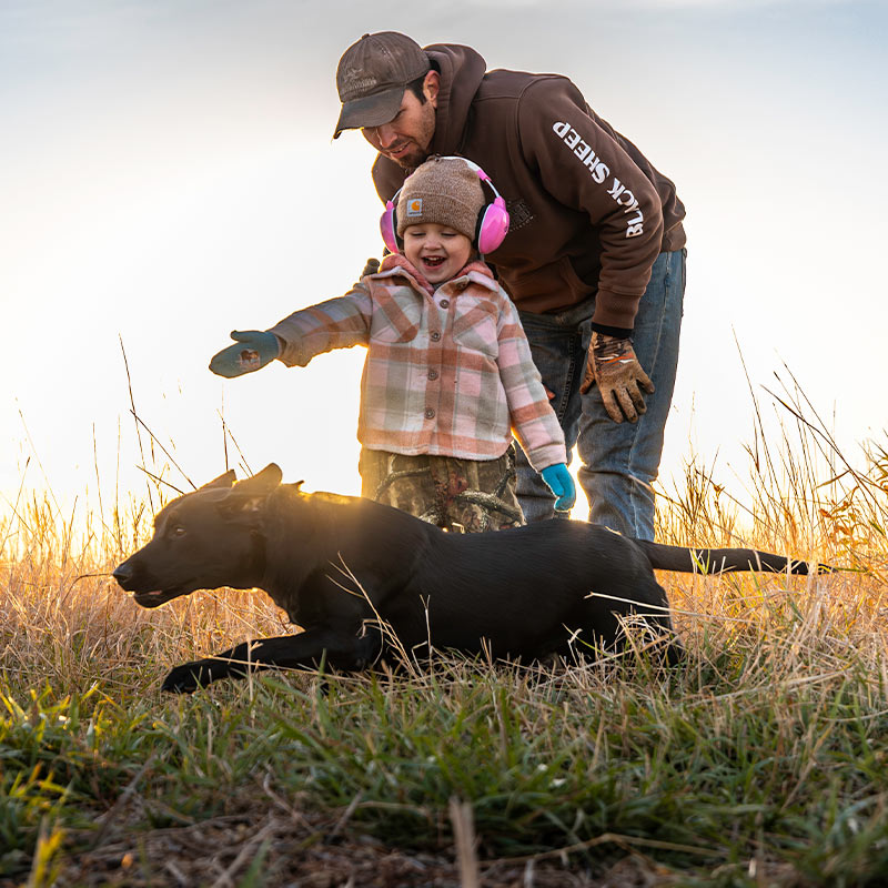 Canadian waterfowl hunting dog, scout